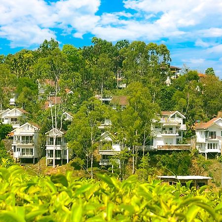 Dazzle Villa Resort 칼파타 외부 사진